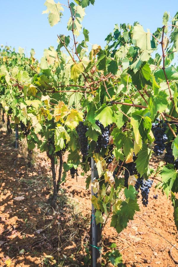 Case Vacanza Podere Risoino Poggibonsi Zewnętrze zdjęcie